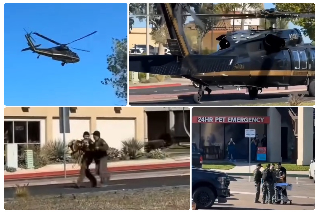 Us border patrol k9 snake bite rescue