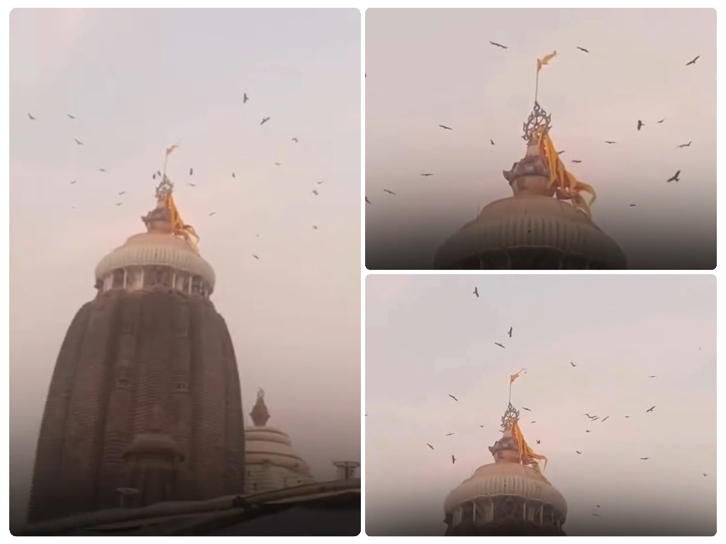Puri jagannath temple eagle circle bhavishya malik